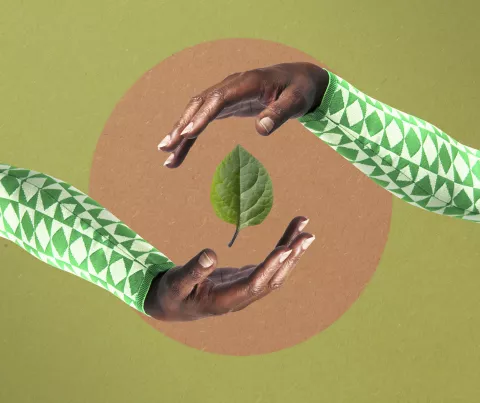 Sustentabilidad y tecnología