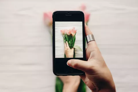 Instagram: cómo entender su algoritmo.