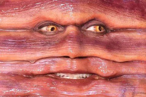 Heidi Klum eligió ser un gusano para Halloween.