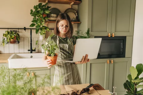 5 lecciones para armar una huerta en tu jardín.