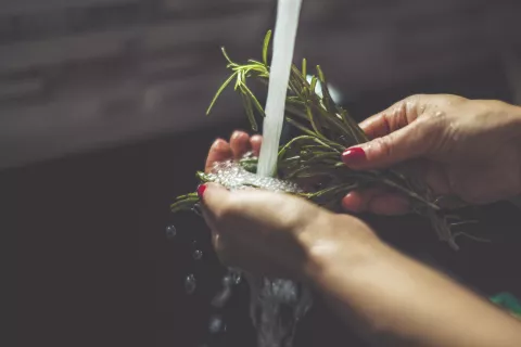 Cuáles son los beneficios del agua de romero.