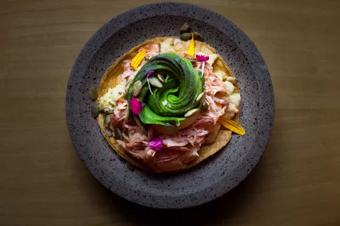 palta_principal.jpg