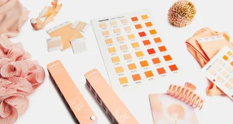 El color del año 2024 es el Peach Fuzz