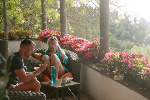 Algunas ideas de plantas con flores para diseñar tu espacio colorido y fresco como un buen antídoto para el calor.