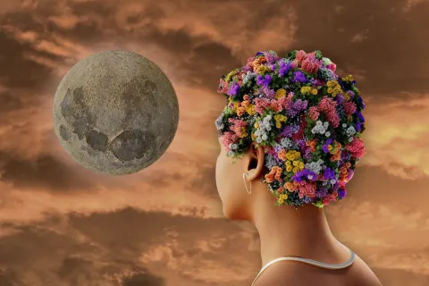 Así impacta la luna nueva en Acuario a cada uno de los signos.