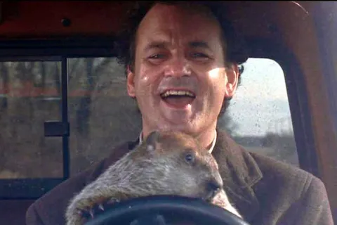 Por qué hoy se celebra el Día de la Marmota.