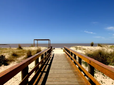 6 imperdibles si visitás Montevideo.