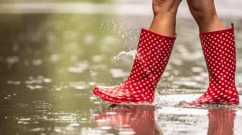 Botas de lluvia cancheras y cómodas