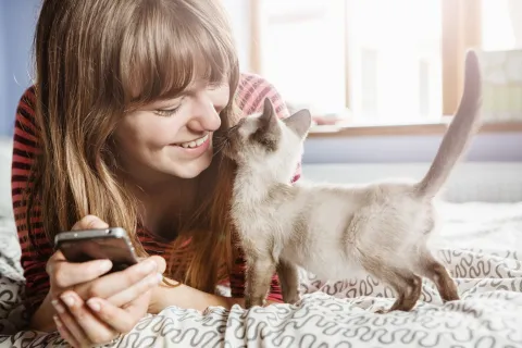 La presencia de los gatos en terapias para personas con TEA enriquece las sesiones para que puedan ser más motivadoras, llevaderas y toleradas.