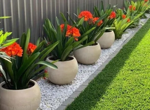 patio-abre.jpg
