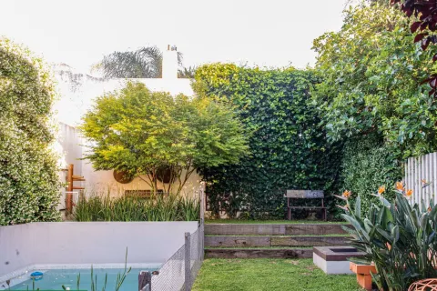 Las plantas tupidas son el límite natural de un jardín.