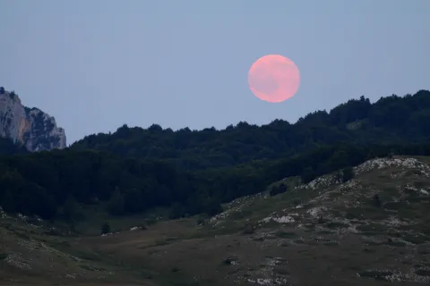 Luna rosa: cuándo podés verla
