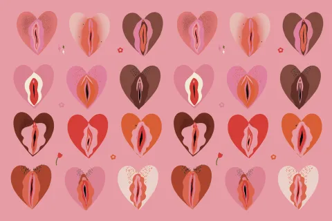 Vulvas