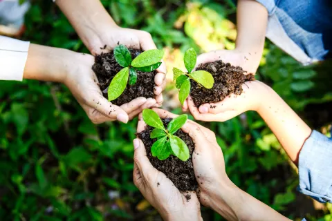 Día de la Tierra: ¿cómo podemos cuidar el medio ambiente?