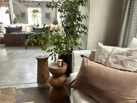 Cómo elegir el aromatizador para tu casa y qué significa cada fragancia