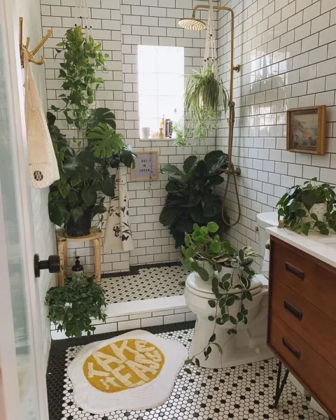 banos-plantas_5.jpeg