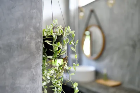 Foto de baño.