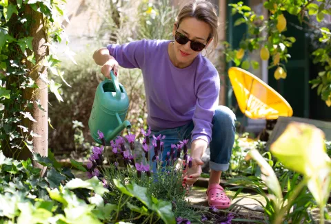Hola verano: las 3 plantas que podés sembrar en noviembre para tener frutas frescas en tu patio