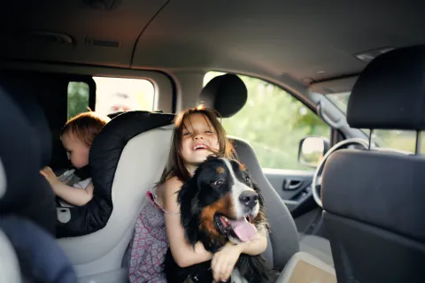 Vacaciones seguras: las 5 cosas que tenés que saber para viajar por la ruta