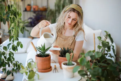 Más allá del significado tradicional, muchas personas eligen poner un cactus en su balcón con una intención clara: crear un espacio de contención y equilibrio energético