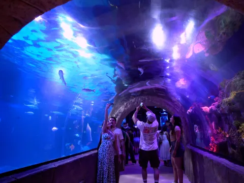 Grupo Oceanic, que reúne cinco parques y atracciones imperdibles, con la posibilidad de acceder a todas a través del Pasaporte de la Diversión, con descuento especial.