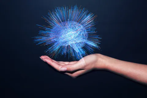 Neuroplasticidad y bienestar: por qué entrenar el cerebro también es parte del autocuidado