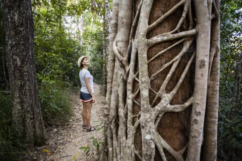 22 de abril, Día de la Tierra: 4 terapias alternativas para reconectar con la Tierra
