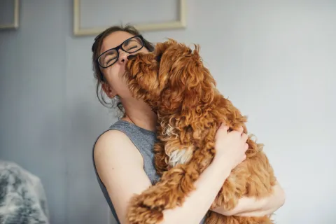 Adoptar un perro es una decisión que implica compromiso y responsabilidad.