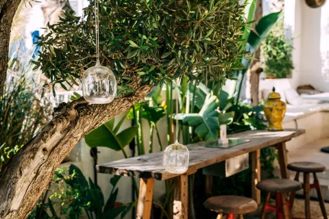 Foto de patio.
