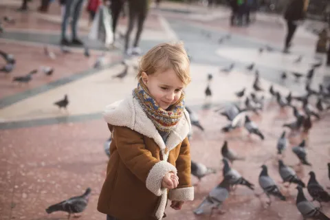 nene juega con palomas