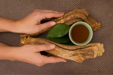 ¿Qué es el ayahuasca? Foto: Canva