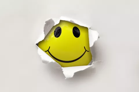 VVSIEYVGSRD3HA6A2EVXKDSFAU.jpg