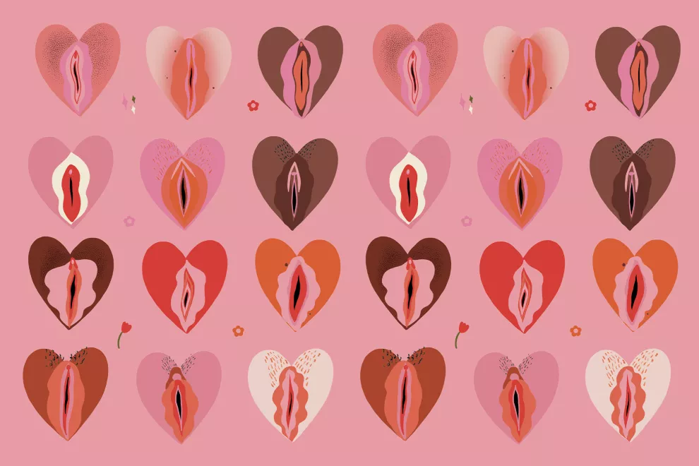 Dermatosis vulvar.