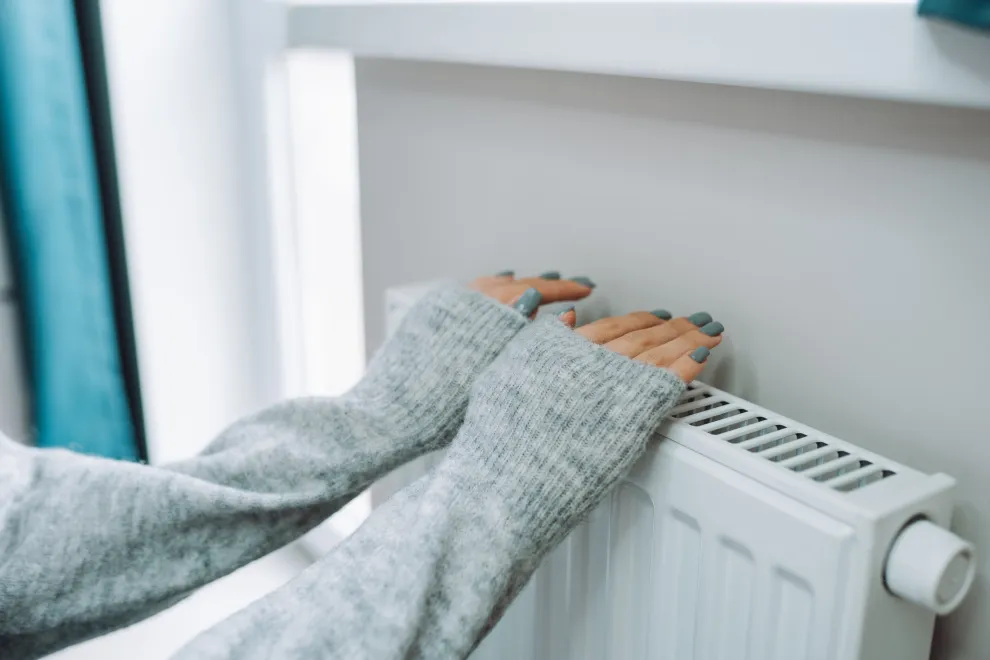 Si tenés niños y/o mascotas, sin duda, los paneles calefactores (semejantes a radiadores) son la mejor opción .