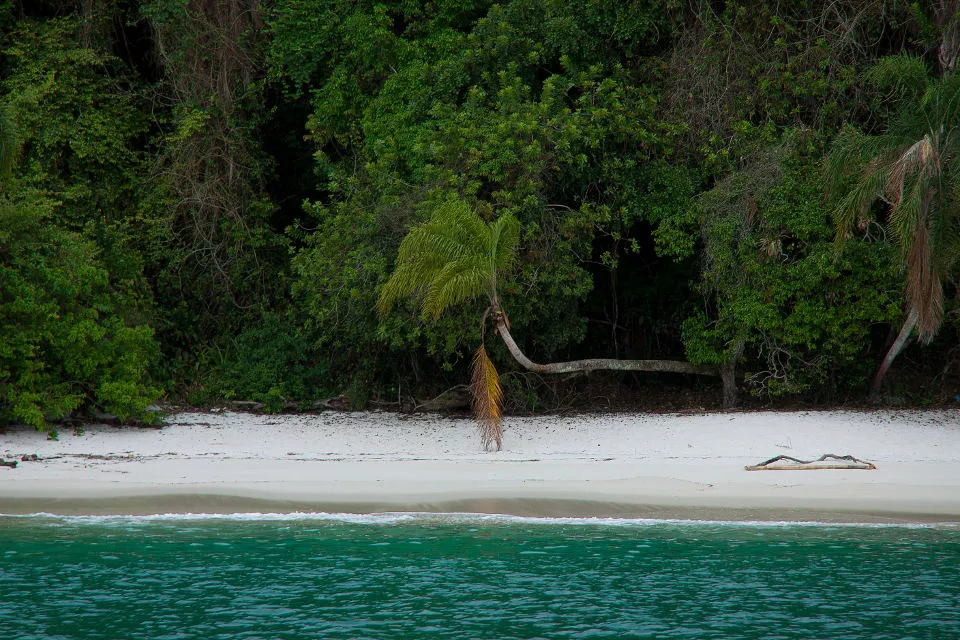 La bahía de Angra dos Reis se ramifica en dos mil playas de postal caribeña