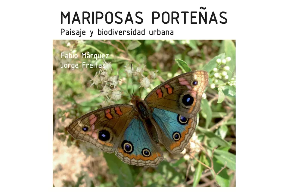 Mariposas porte?as de Fabio Márquez y Jorge Freitas. Se puede leer online en: issuu.com/fabiomarquez